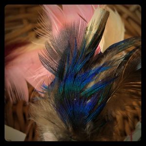 Gorgeous EXTRA LARGE Sage/Herb Smudge Bundles